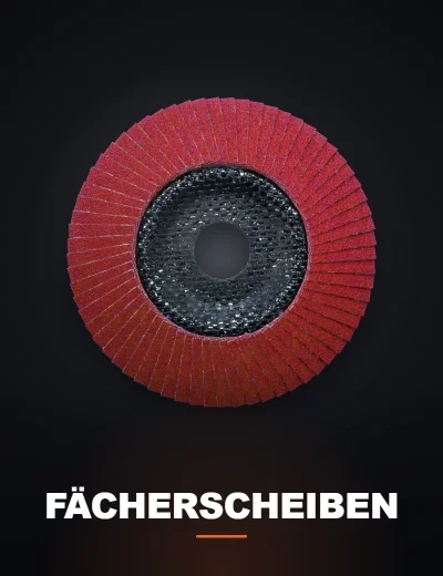 Fächerscheiben