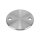 Ronde | Ø 120 x 6 mm | 2 x gelocht (Ø 13 mm) | Kante gefast | Edelstahl