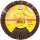 Schleifmoprad CS 310 XF – 125 x 20 mm K80 M14